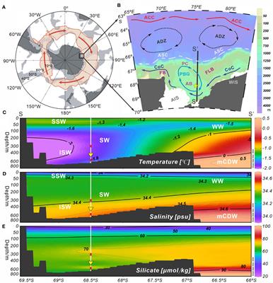 Seasonal variations of siliceous microplankton fluxes and radiolarian assemblages linked to environmental conditions in Prydz Bay polynya, Eastern Antarctica